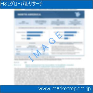 市場と産業調査レポートのイメージ